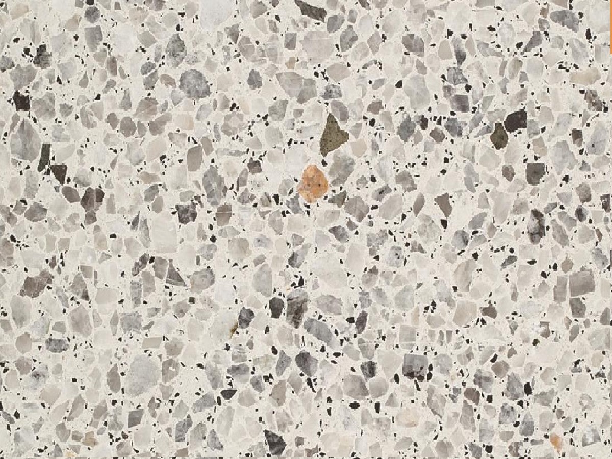 백호
